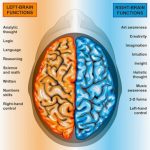 87308-left-right-brain-280