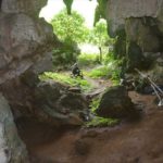 oldest-cave-art-found-in-sulawesi